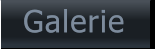 Galerie Galerie