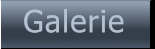 Galerie Galerie