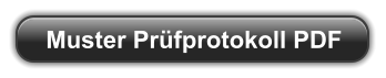 Muster Prüfprotokoll PDF